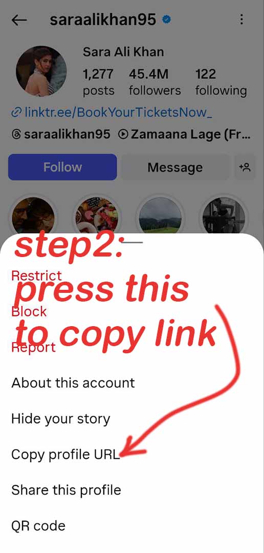 insta highlight cover downloader Step 2