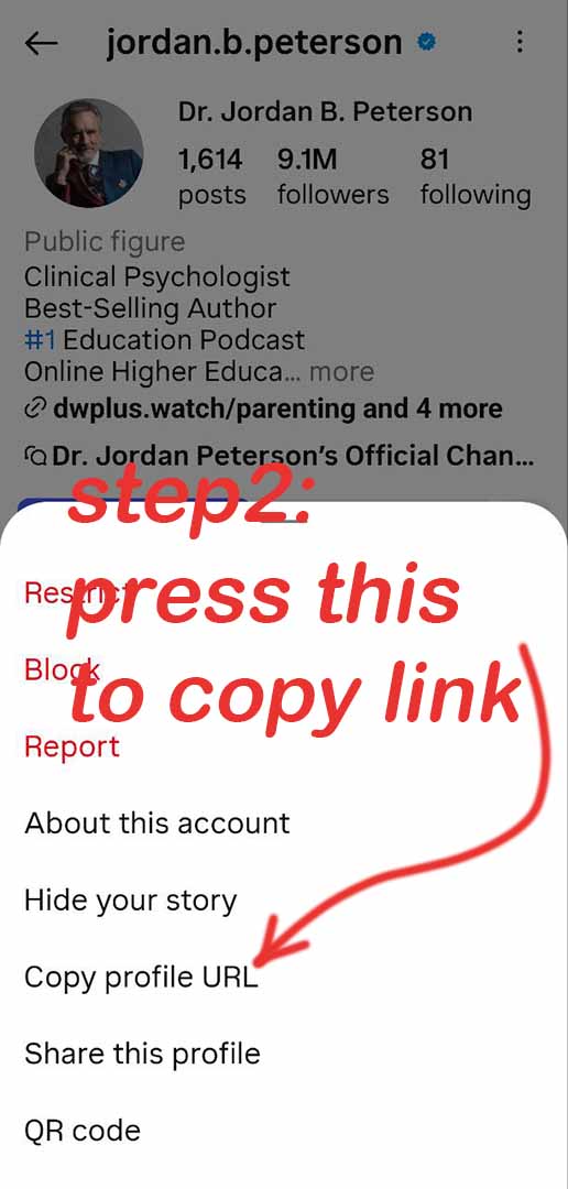 download IG highlight Step 2