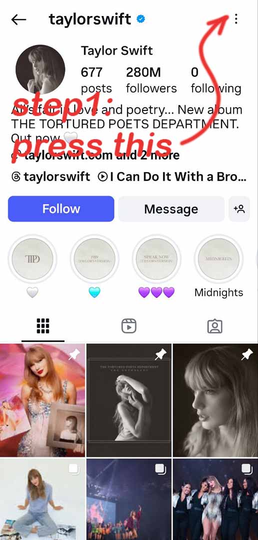 download Instagram profile picture Step 1