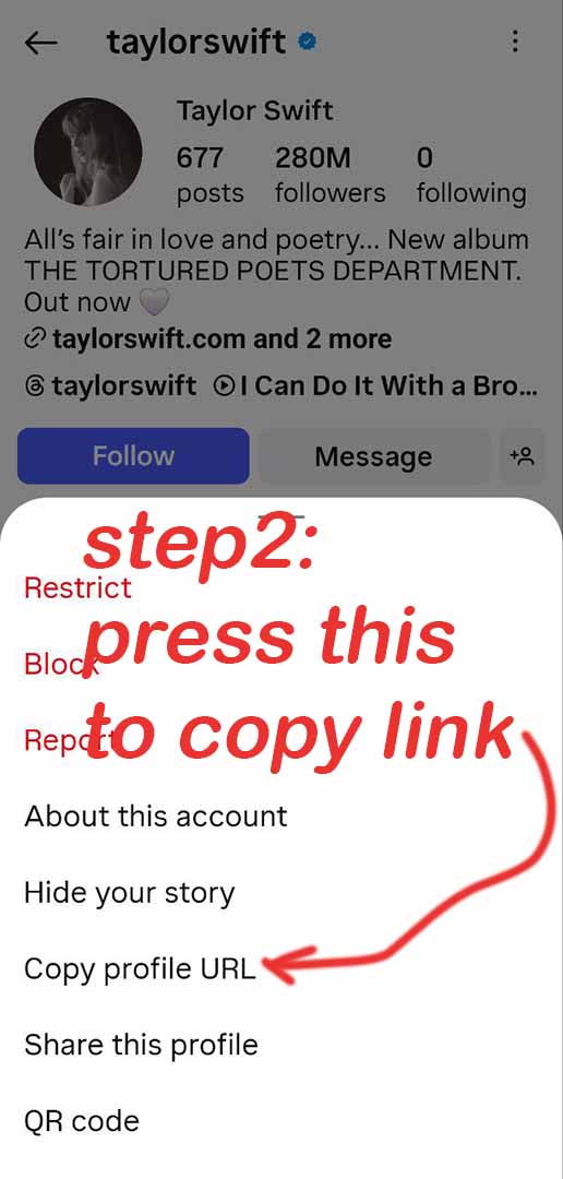 download Instagram profile picture Step 2