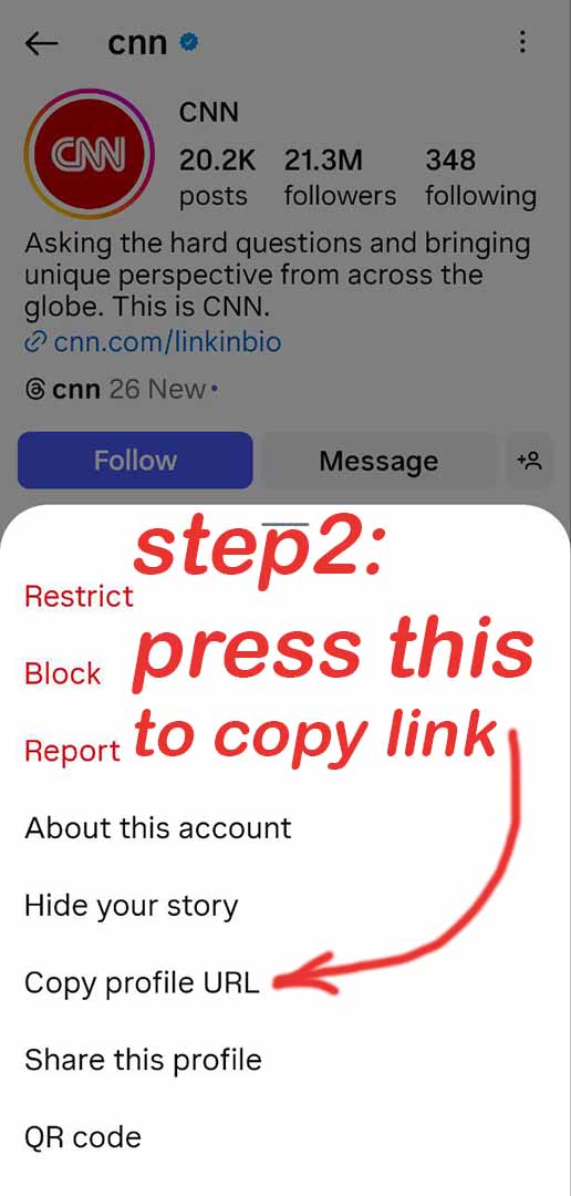 IG story downloader Step 2