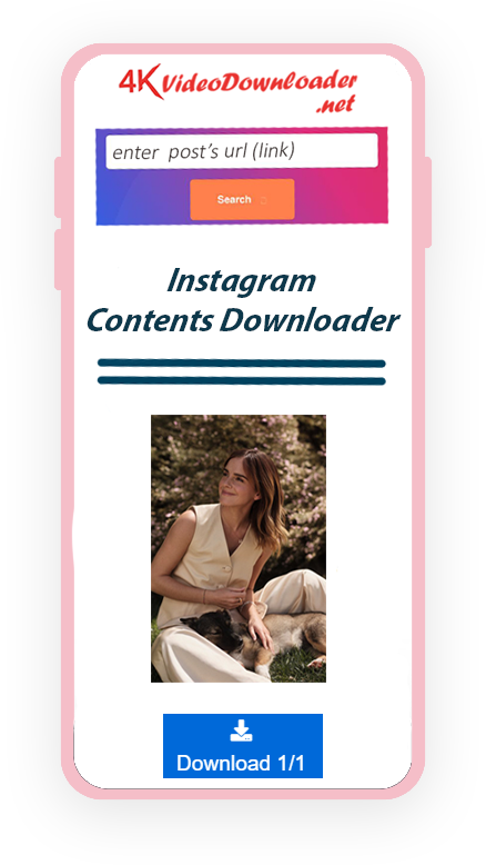instagram-contents-downloader